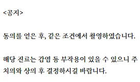 의료광고법 관련 고지사항: 동의를 얻어 촬영했으며, 해당 진료는 감염 등 부작용이 있을 수 있으니 주치의와 상의 후 결정하라는 내용